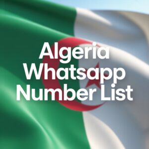 Algeria WhatsApp Number List